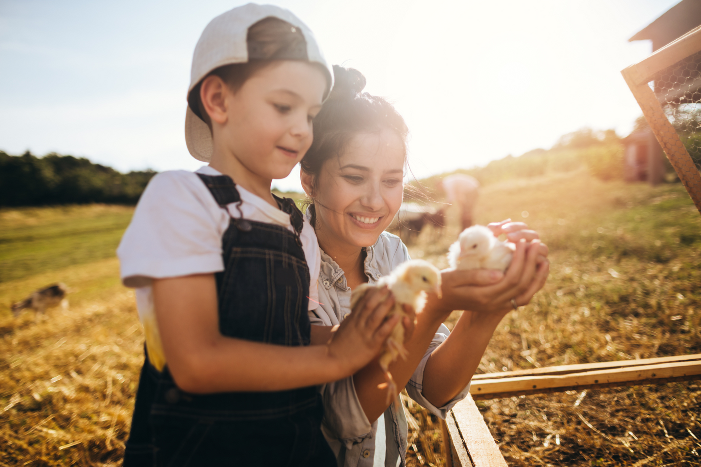 Children’s Farm Experience at Hacienda Carey – Horse & Animal Play