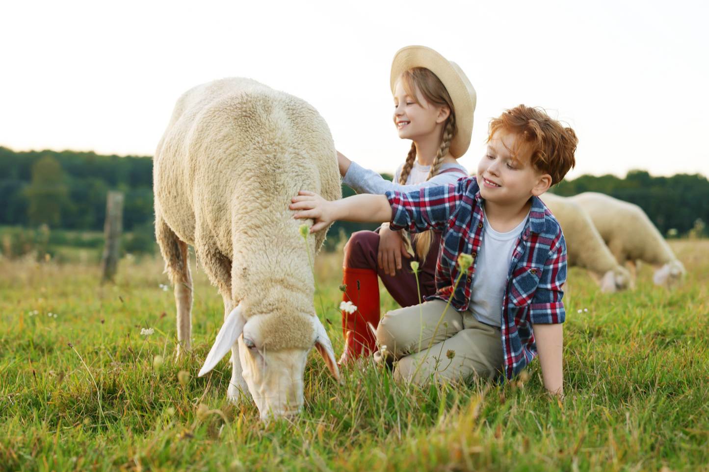 Children’s Farm Experience at Hacienda Carey – Horse & Animal Play