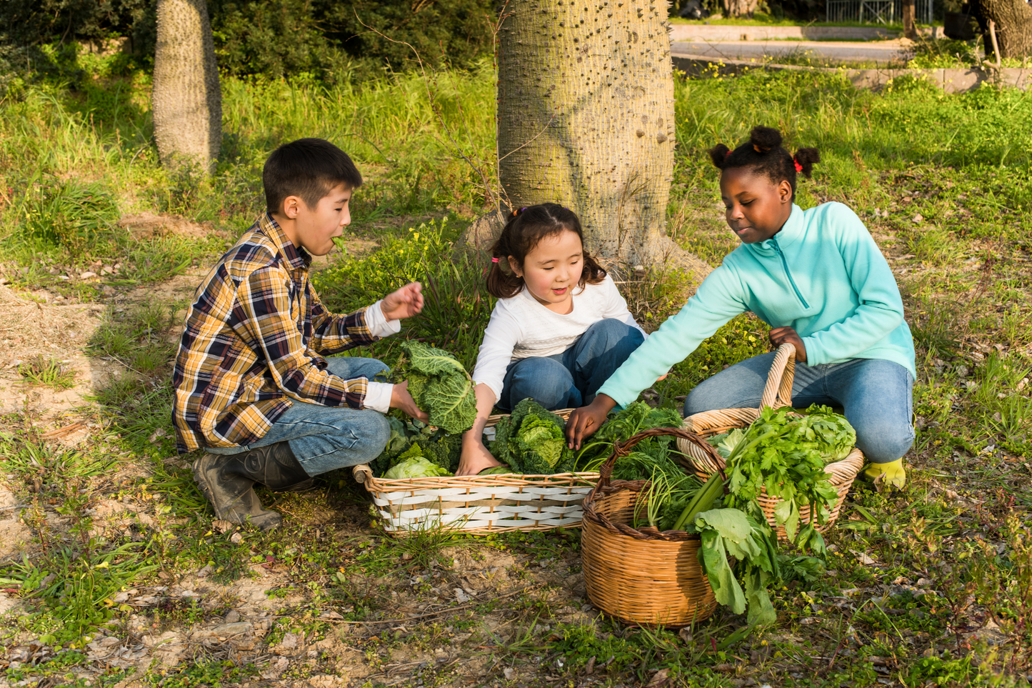 Children’s Farm Experience at Hacienda Carey – Horse & Animal Play