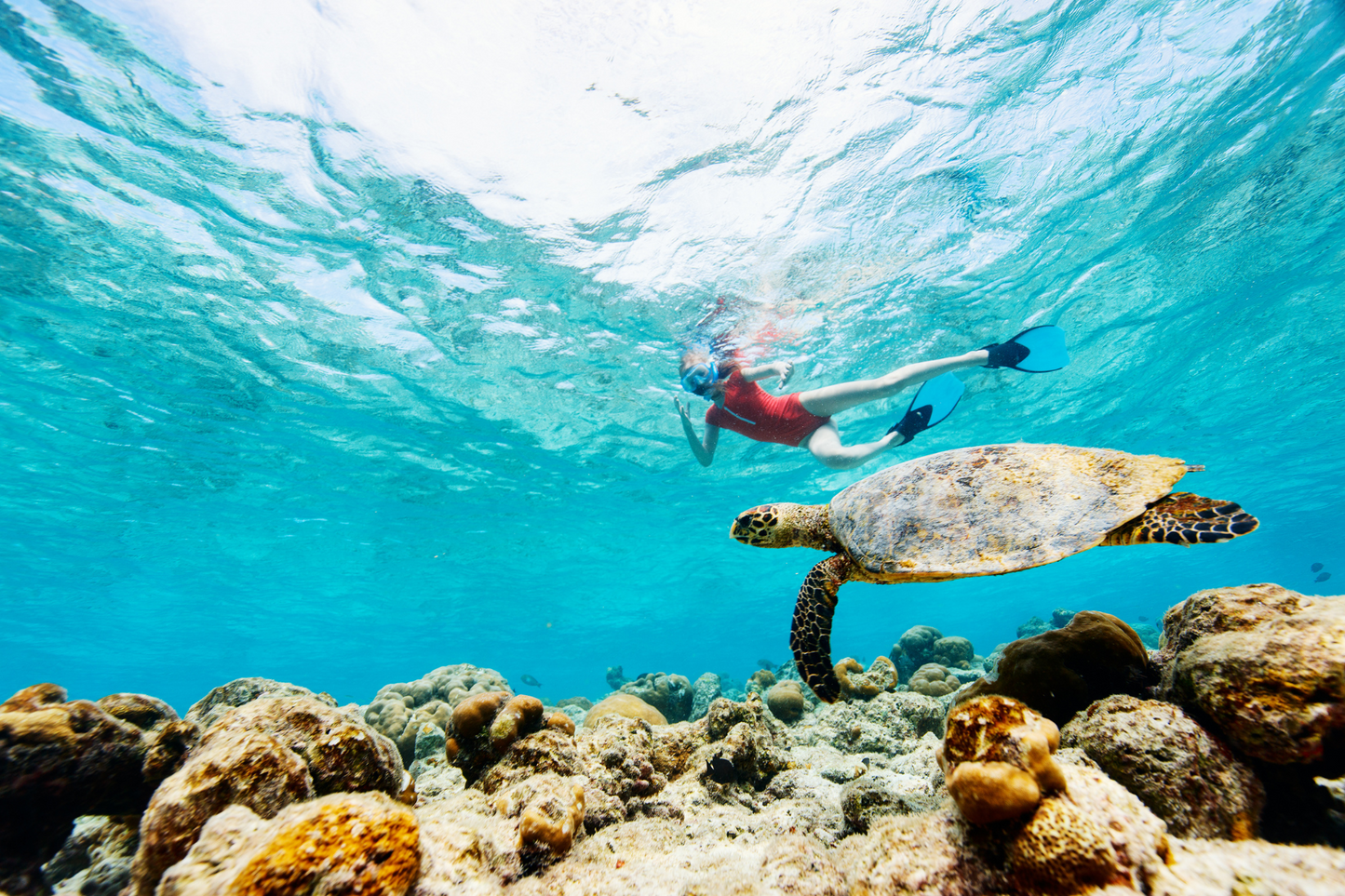 Underwater Magic: Aguadilla Snorkel Adventure