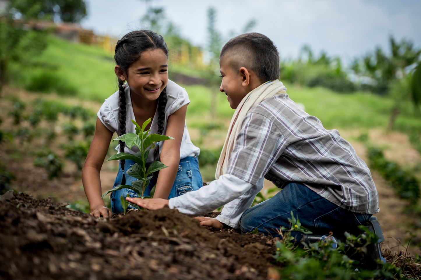 Children’s Farm Experience at Hacienda Carey – Horse & Animal Play