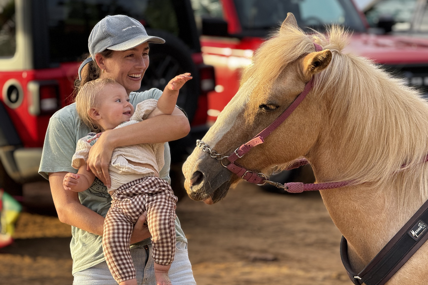 Children’s Farm Experience at Hacienda Carey – Horse & Animal Play