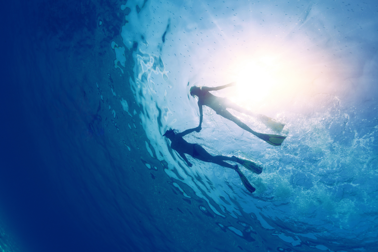 Underwater Magic: Aguadilla Snorkel Adventure