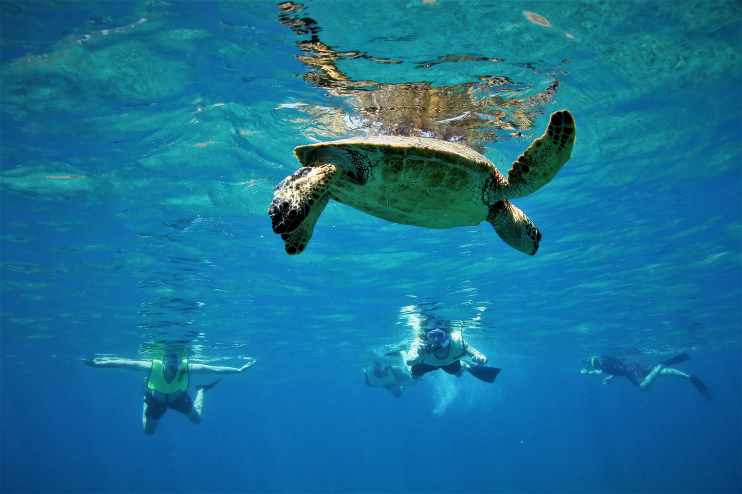 Underwater Magic: Aguadilla Snorkel Adventure