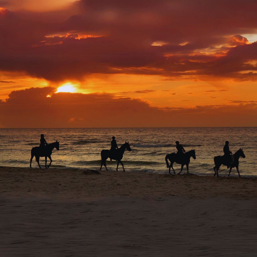 Sunset Horseback Rides in Aguadilla Beach