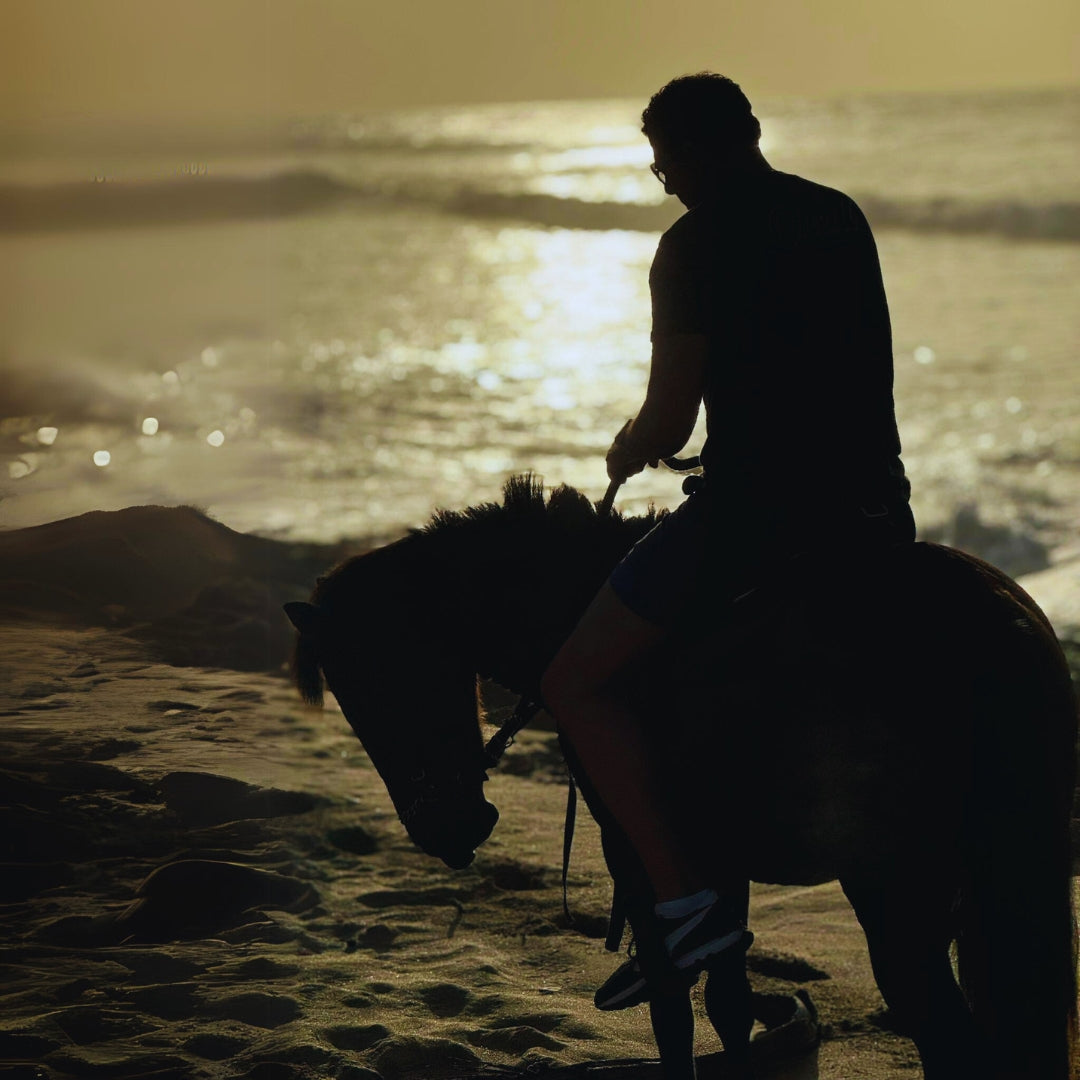 Sunset Horseback Rides in Aguadilla Beach
