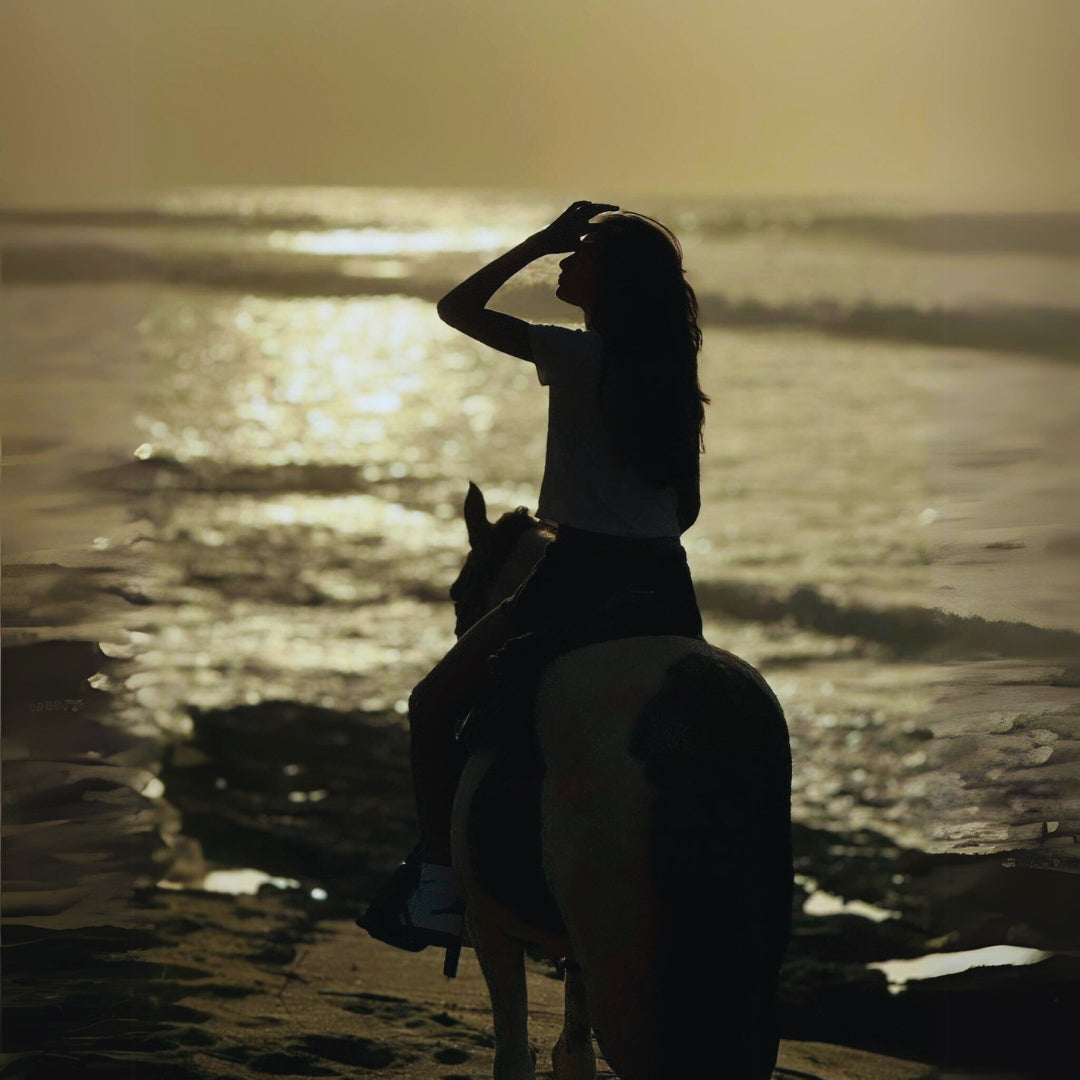 Sunset Horseback Rides in Aguadilla Beach