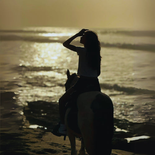 Afternoon Horseback Rides in Aguadilla Beach